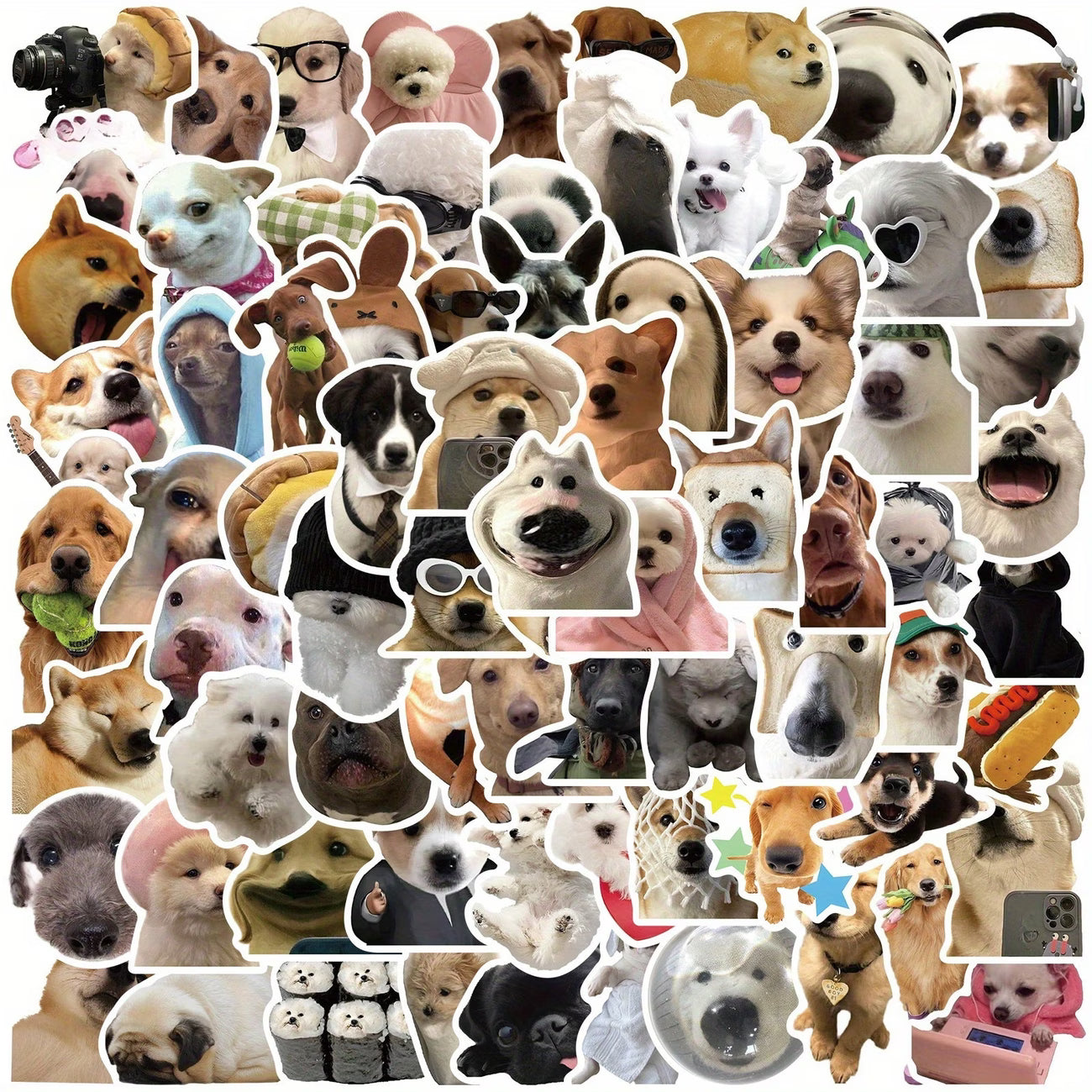 STICKERS MEMES PERROS