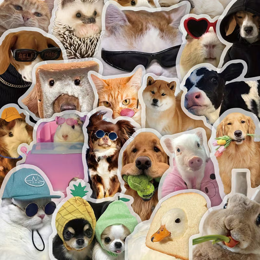 STICKERS MEMES PERROS