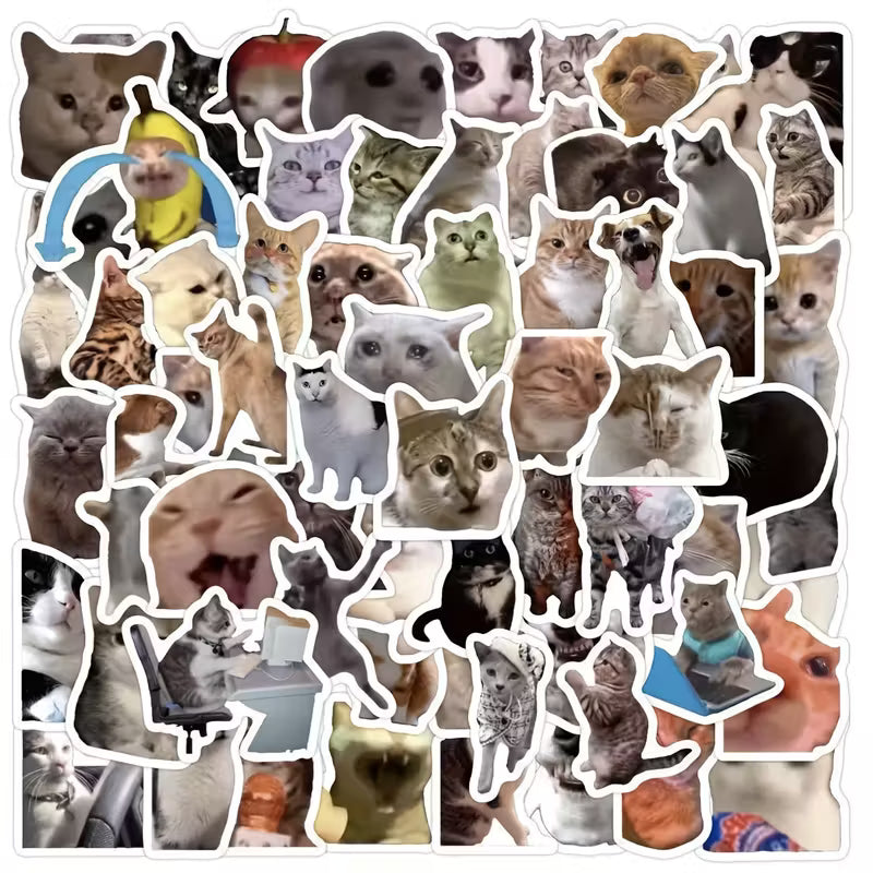 STICKERS MEMES GATOS