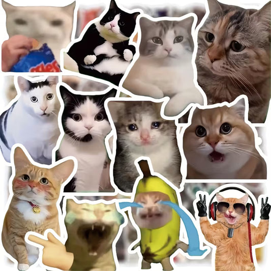 STICKERS MEMES GATOS